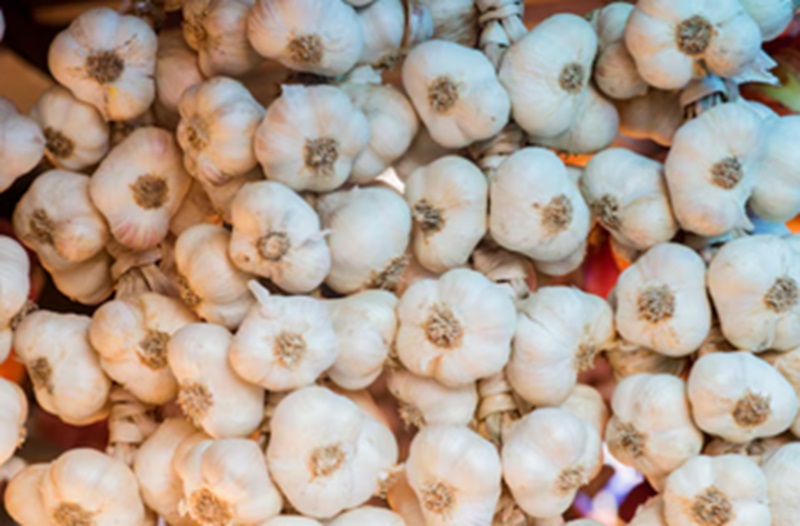 6 Bumbu Dapur yang Bisa Turunkan Kolesterol Bawang putih bisa turunkan kolesterol (Foto/Freepik)