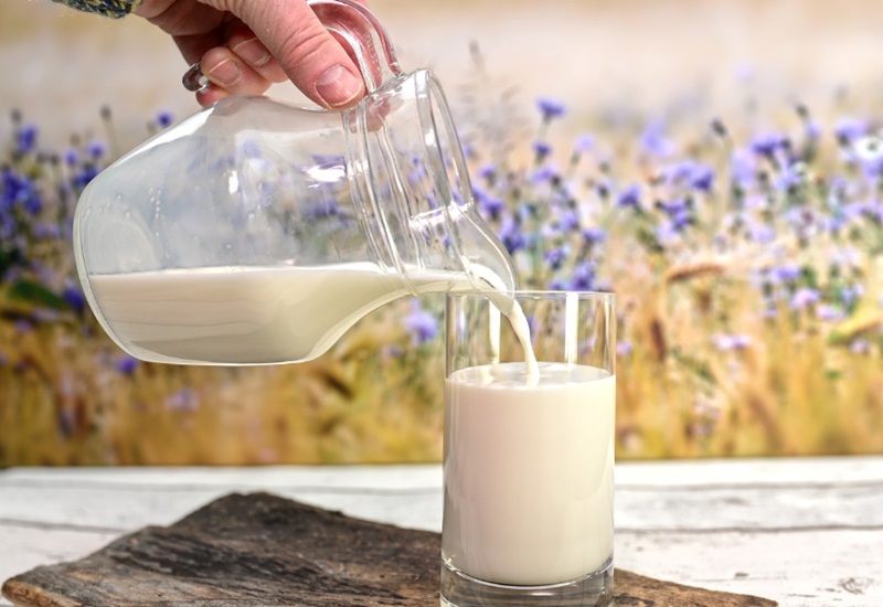 Ilustrasi manfaat susu unta  (Foto/Pixabay)