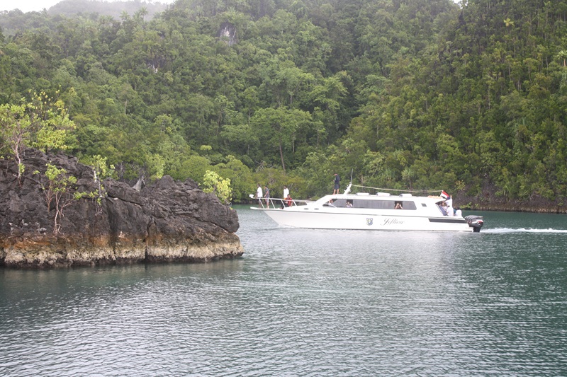 Wisata Raja Ampat (Beritanasional/Meta)