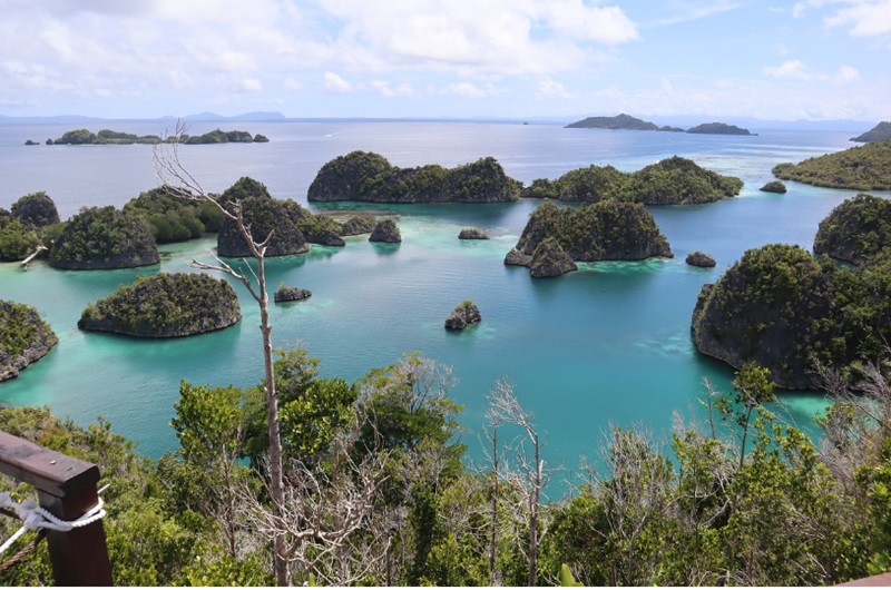 Ilustrasi wisata Raja Ampat (Foto/Pixabay)