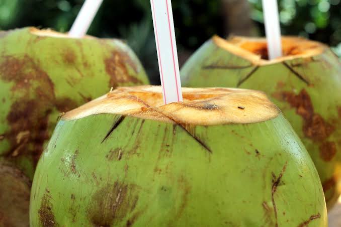 Ilustrasi air kelapa (BeritaNasional/pixabay)
