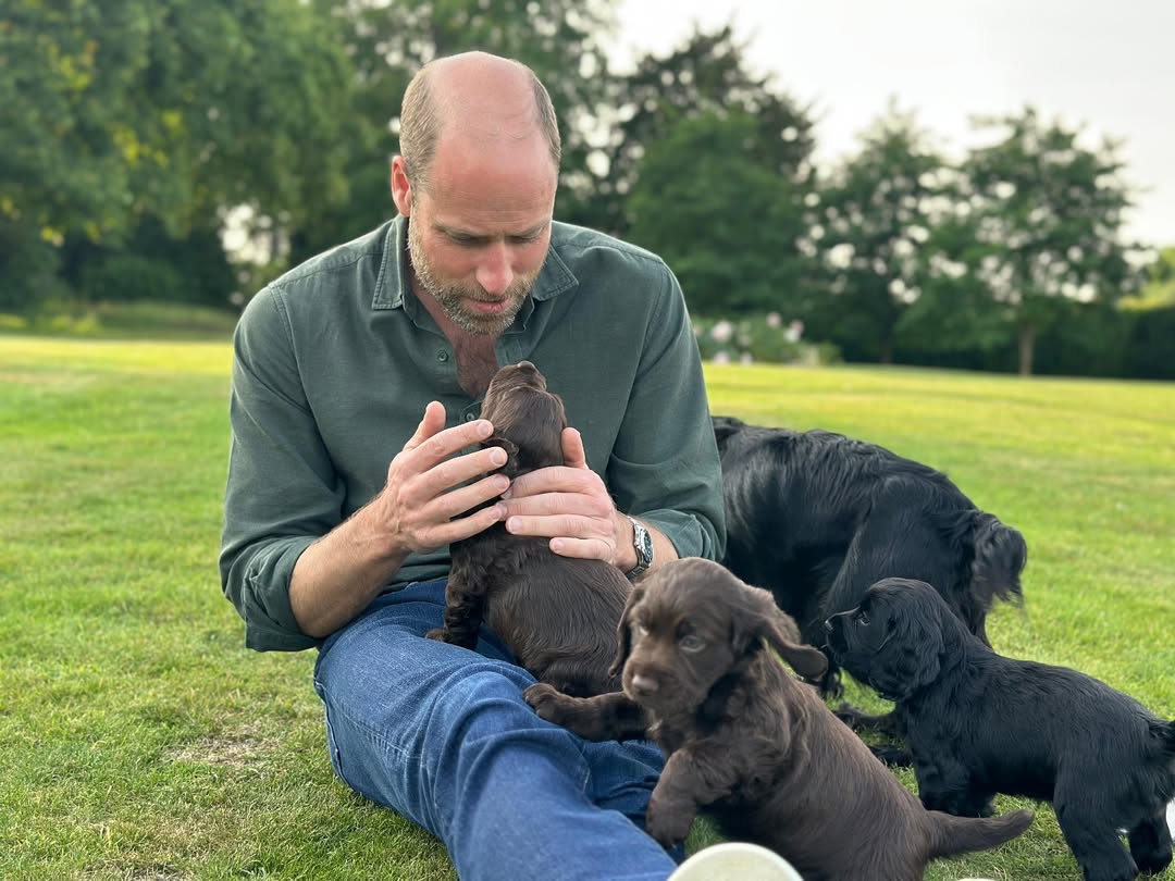 Pangeran William bersama anjing-anjingnya. (Foto/Instagram Prince and Princess Wales)