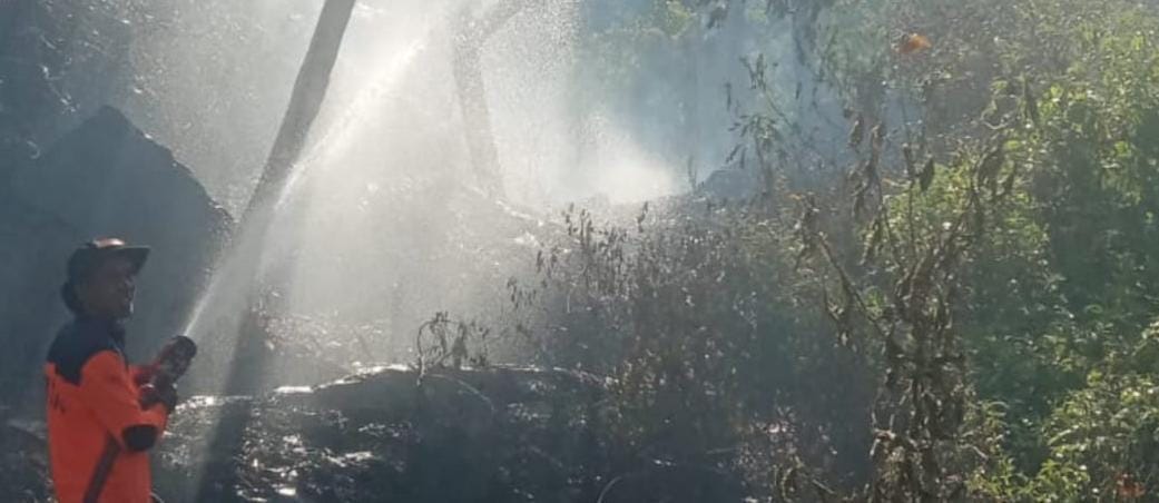 Tim petugas sedang memadamkan api di lahan yang terbakar di Sumatera Barat. (BeritaNasional/BNPB)