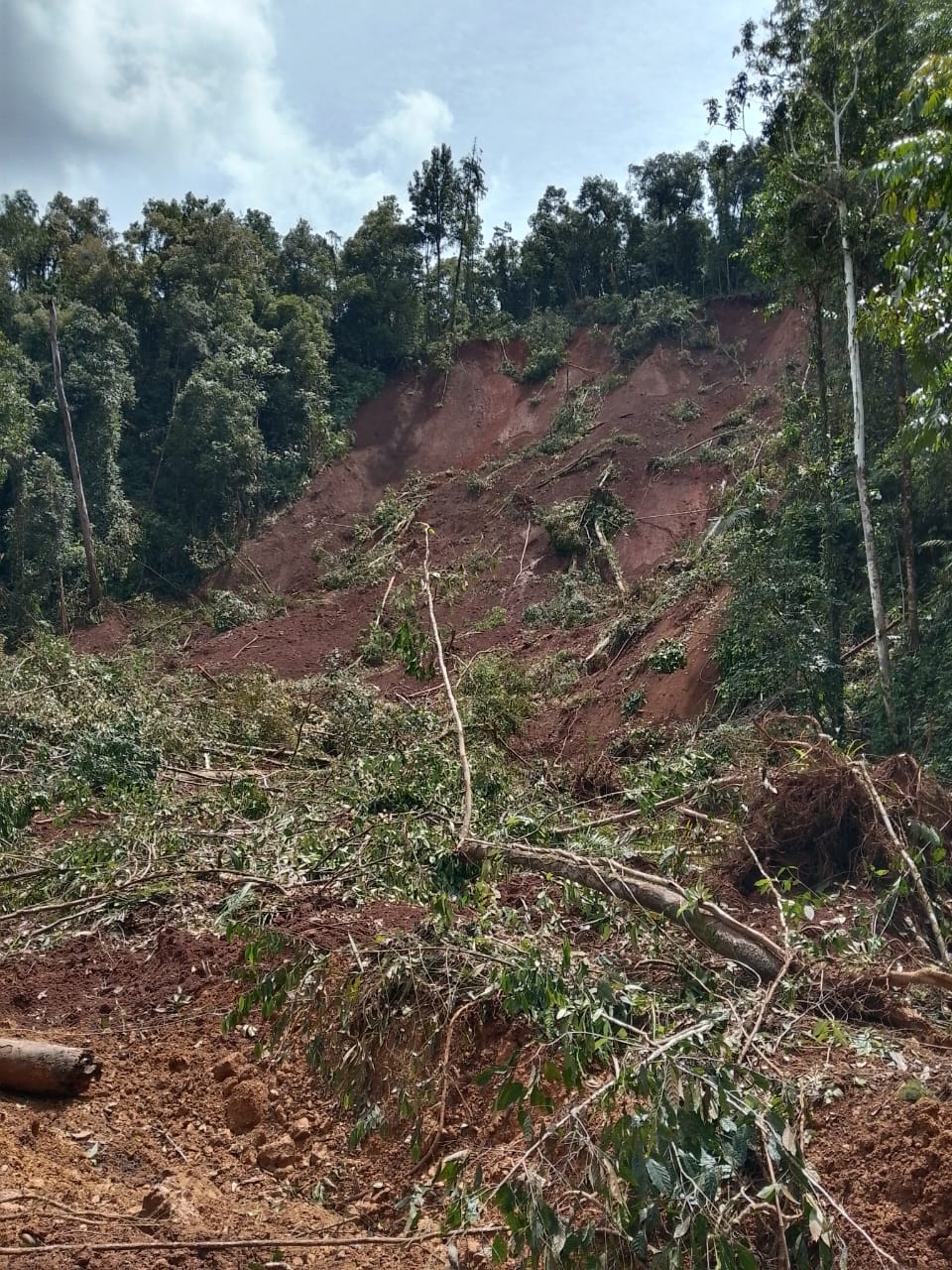 Tanah longsor di Moutong Sulawesi Tengah. (BeritaNasional/BNPB)