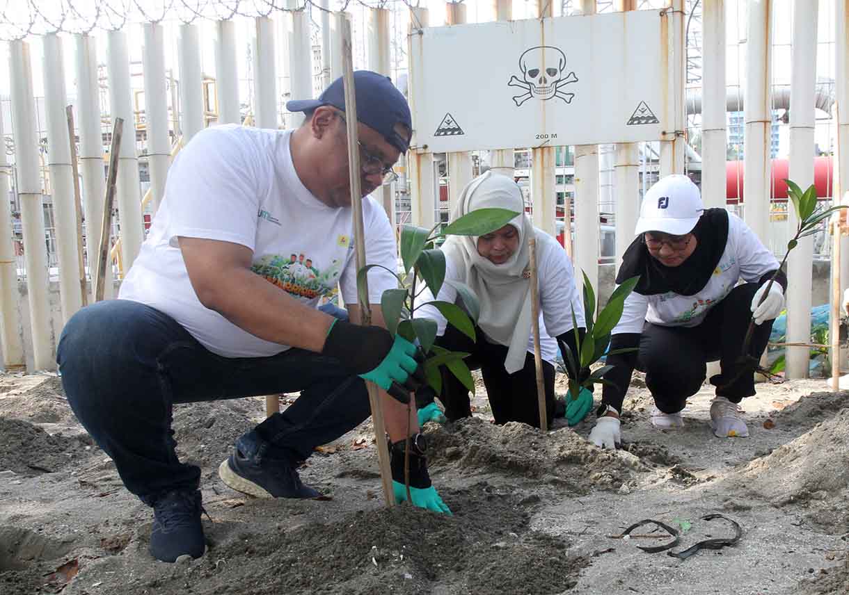 General Manager PLN Indonesia Power UBP Priok, Buyung Arianto menanam manggrove di kawasan pesisir Tanjung Priok, Jakarta, Jumat (13/6/2025).(Beritanasional.com/Oke Atmaja)