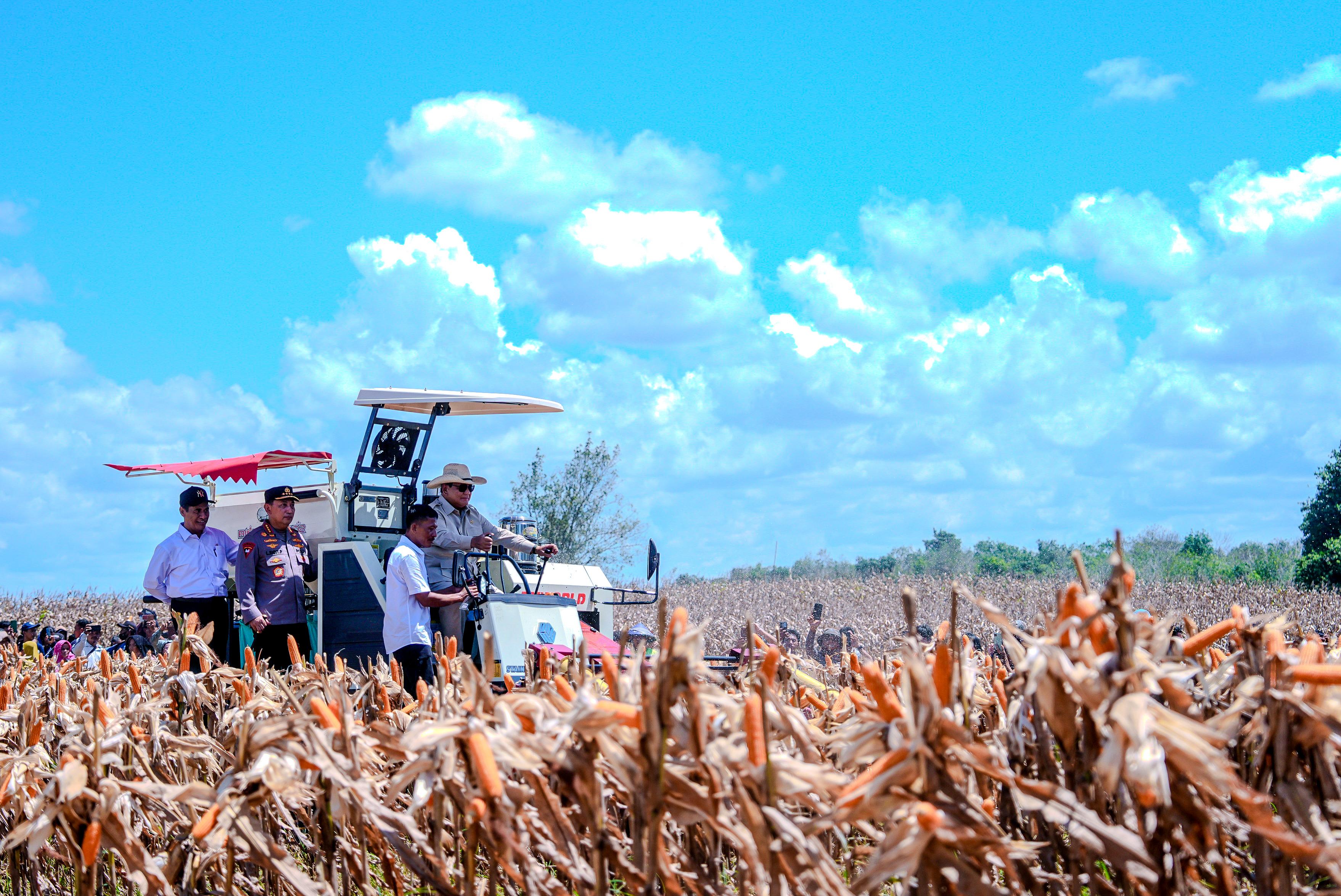 Presiden Prabowo pimpin Panen Raya Jagung di Kalbar. (Foto/PCO)