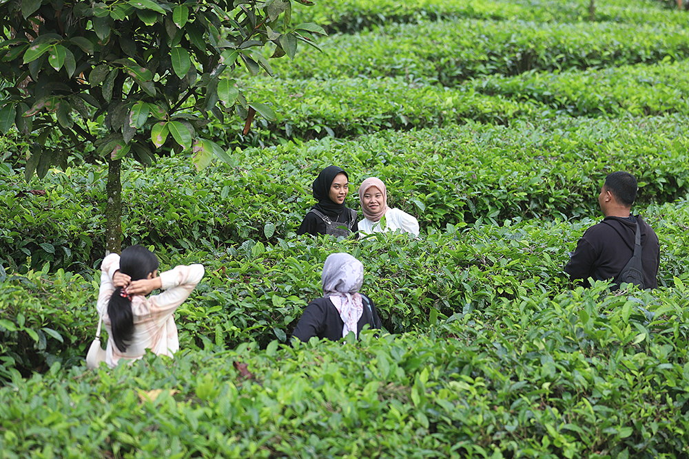 Wisatawan berkunjung ke puncak Bogor. (BeritaNasional/Elvis Sendouw)