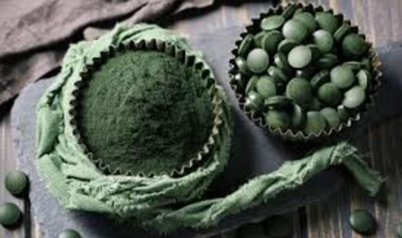 Spirulina untuk pakan ternak (Foto/Evrim agaci)