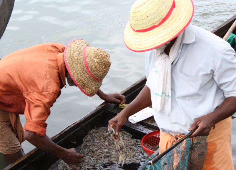 Nelayan mencari ikan (Foto/Pixabay)