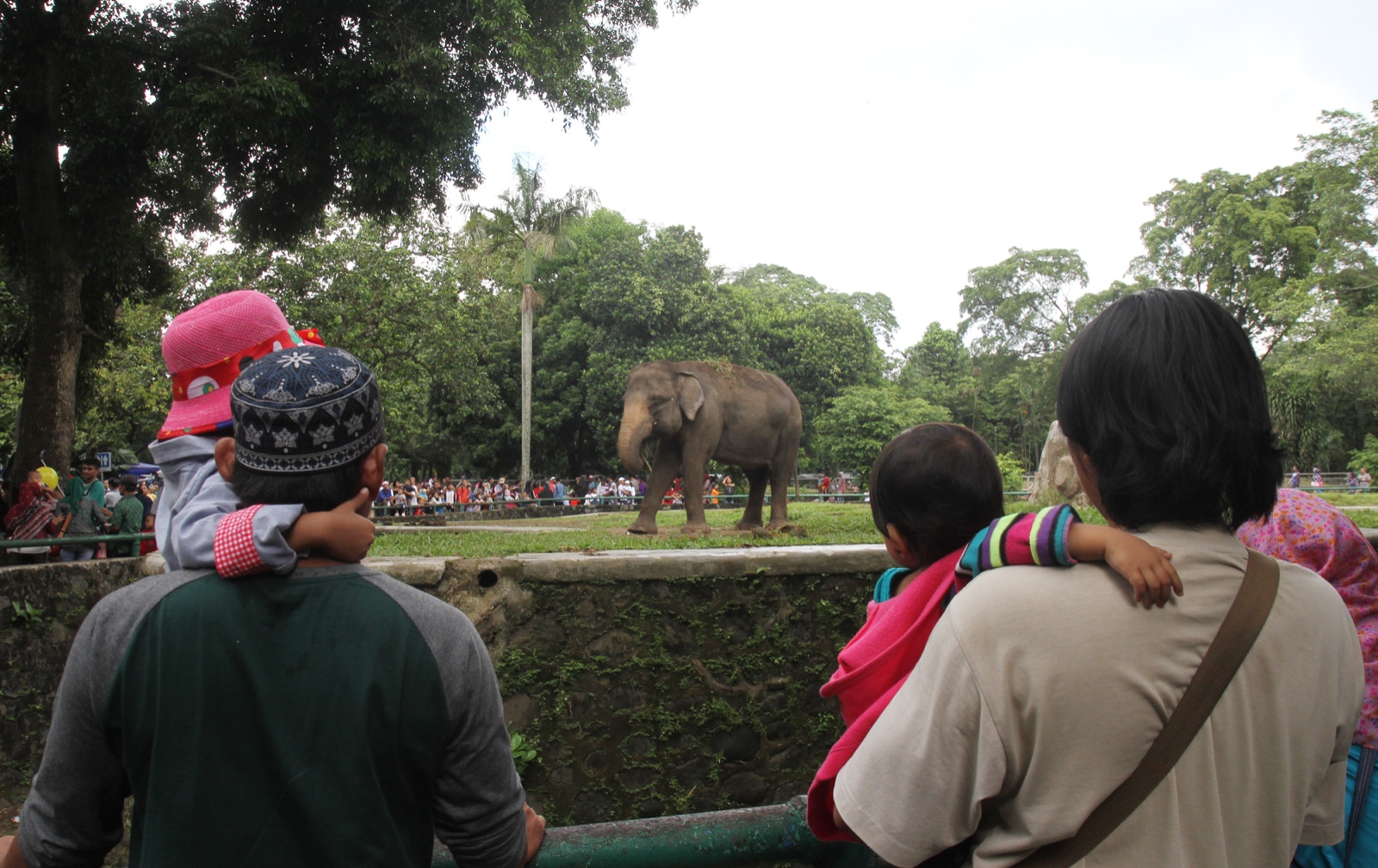 Masyarakat swafoto bersama gajah di Taman Margasatwa Ragunan. (BeritaNasional/Oke Atmaja)