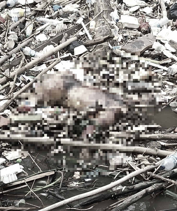 Mayat tanpa dengan kepala tidak utuh ditemukan di Kali Ciliwung. (Foto/doc. Polri)