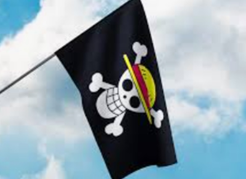 Pengibaran bendera one piece (Foto/Ali express)
