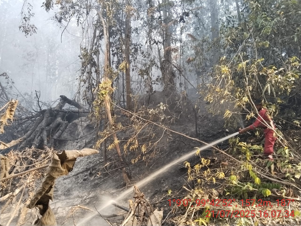 Petugas memadamkan api di lahan (karhutla) Padang Lawas Sumut. (BeritaNasional/BNPB)