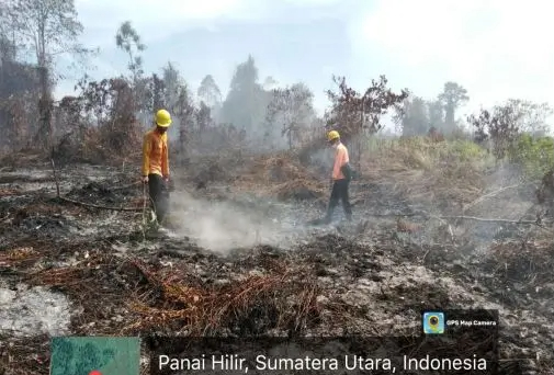 Kebakaran hutan dan lahan masih terjadi di beberapa wilayah Indonesia. (Foto/BNPB)