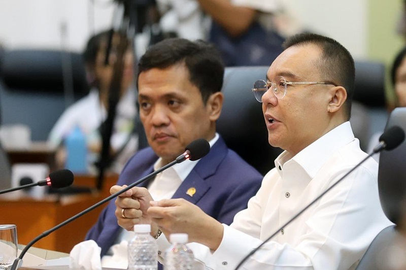 Wakil Ketua DPR RI Sufmi Dasco Ahmad (Beritanasional/Elvis)