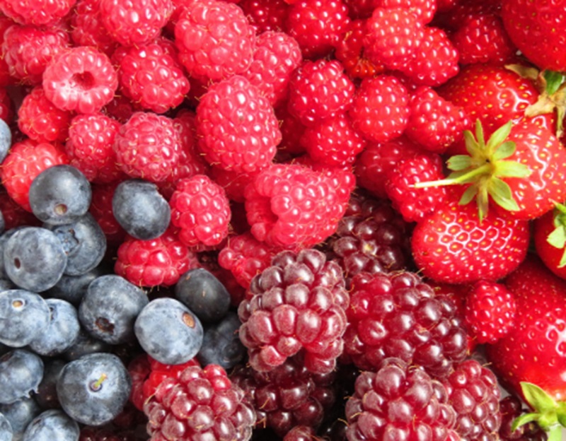 Lezatnya buah berry (Foto/Pixabay)