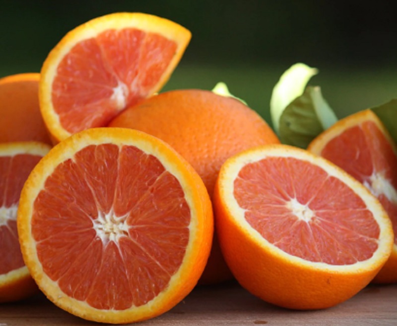 Jeruk sumber vitamin C (Foto/The diggers club)