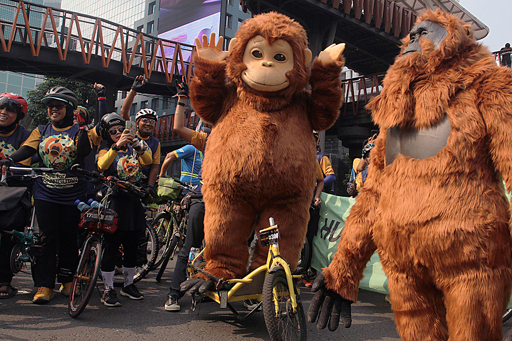 Peringati Hari Orangutan Sedunia 2025 dalam mendukung perlindungan dan pelestarian populasi satwa satwa langka. (BeritaNasional/Elvis Sendouw)