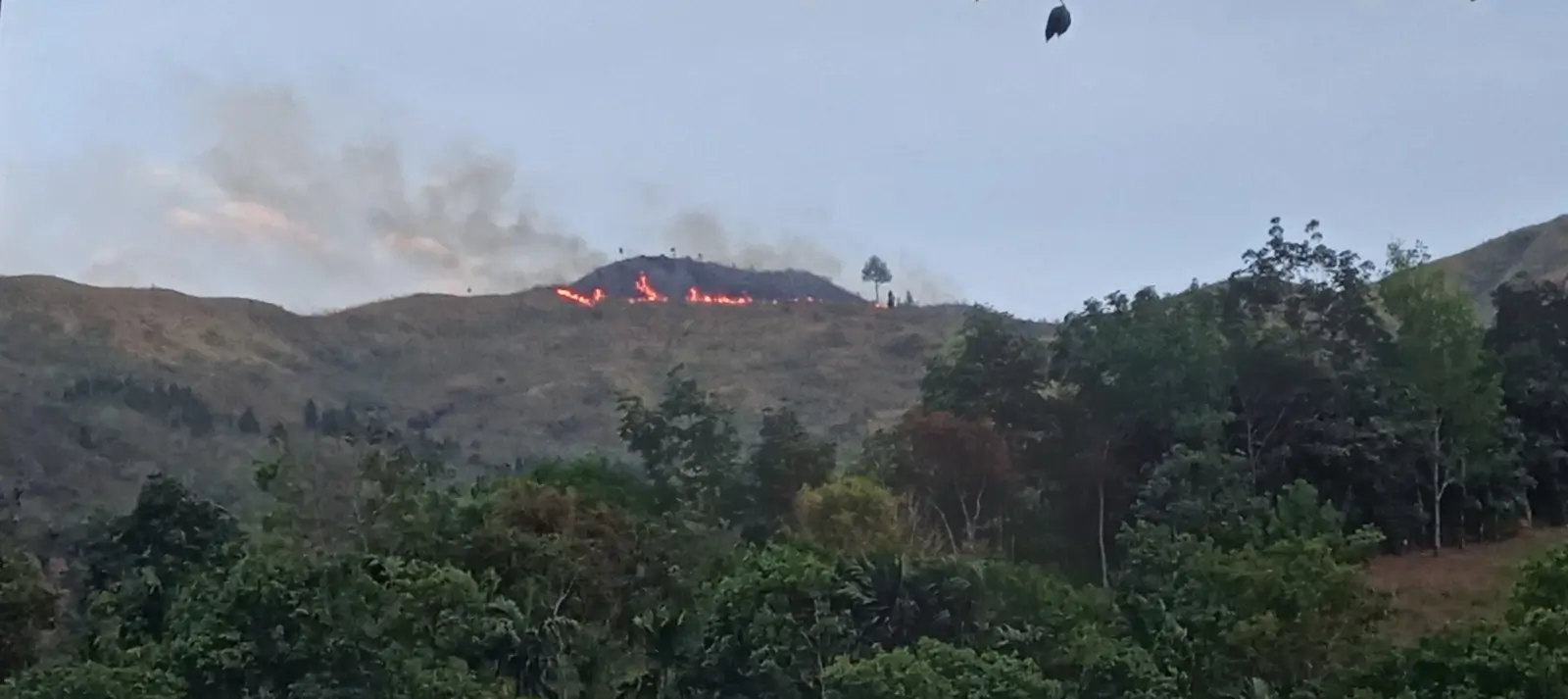 Visual kebakaran hutan dan lahan di Kabupaten Pasaman, Provinsi Sumatera Barat pada Jumat (1/8). (BPBD Kabupaten Pasaman)