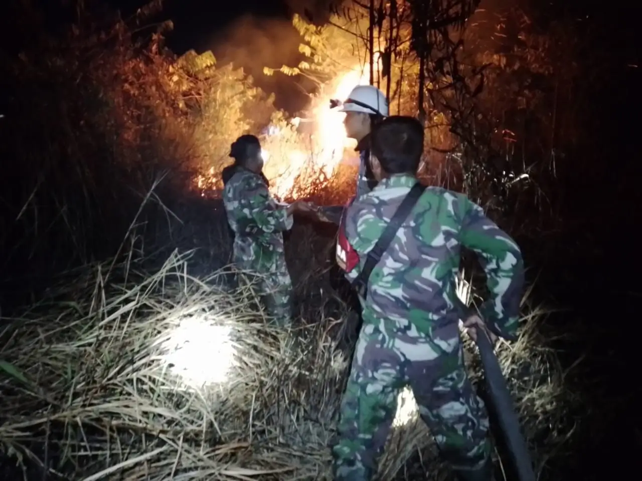 Tim gabungan melakukan pemadaman api yang membakar lahan di Kota Tarakan, Kalimantan Utara pada Rabu (30/7/2025). (Foto/BPBD Kota Tarakan.)