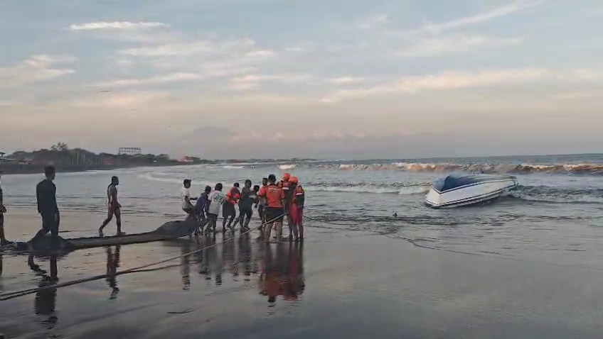 2 WNA Tewas dalam Insiden Tenggelamnya Fast Boat di Nusa Penida Dua WNA Cina Tewas dalam Insiden Tenggelamnya Fast Boat di Nusa Penida. (Foto/istimewa)
