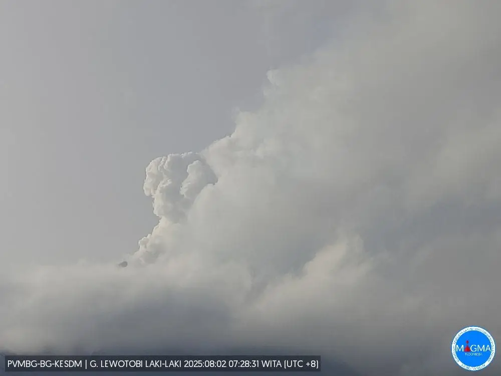 Gunung Lewotobi Laki-laki Masih Berstatus Awas, BNPB Minta Warga Kosongkan Zona Bahaya Gunung Lewotobi Laki-Laki erupsi. (Foto/BNPB)