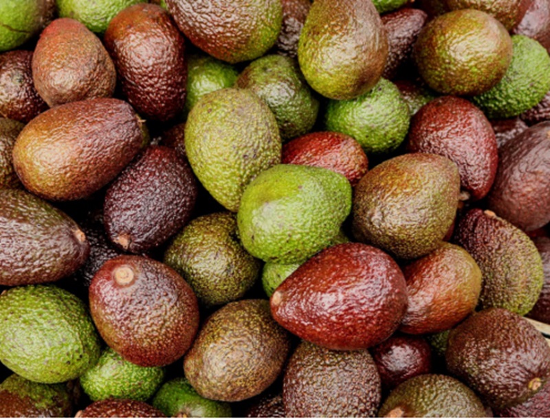 Ini 5 Manfaat Alpukat yang Harus Diketahui Manfaat buah alpukat (Foto/Pixabay)