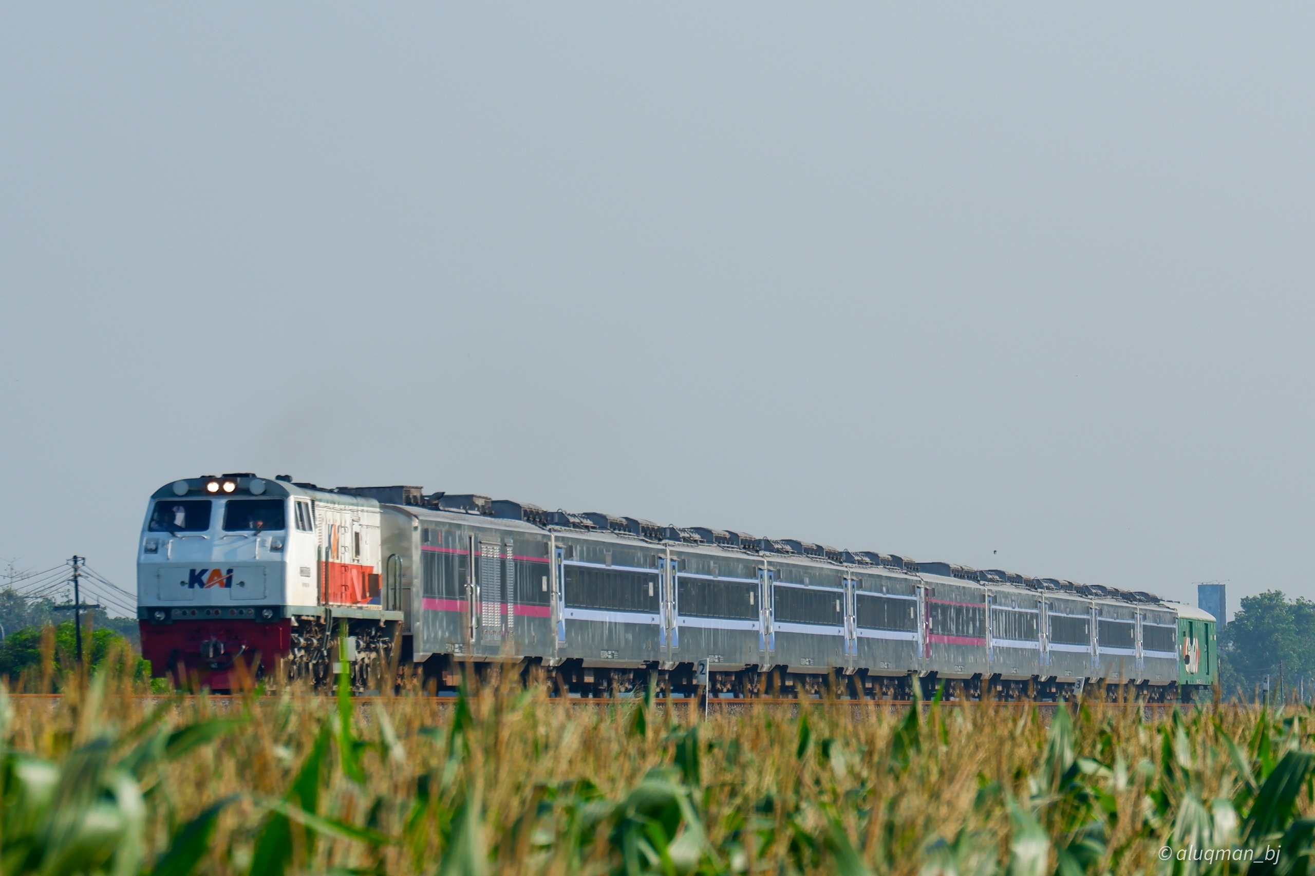 Ilustrasi Kereta Api (Foto/KAI)