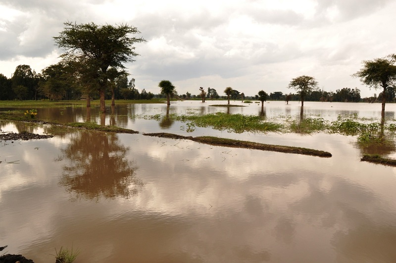 Ilustrasi banjir bandang (Foto/Pixabay)