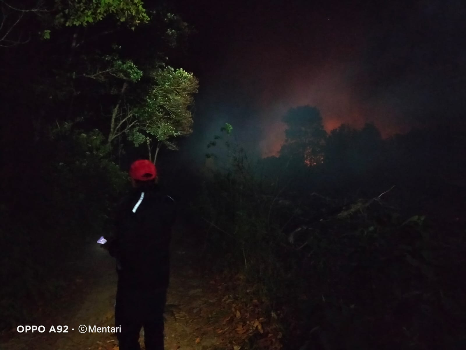Kebakaran hutan dan lahan di Tapanuli Utara Sumut. (BeritaNasional/BNPB)