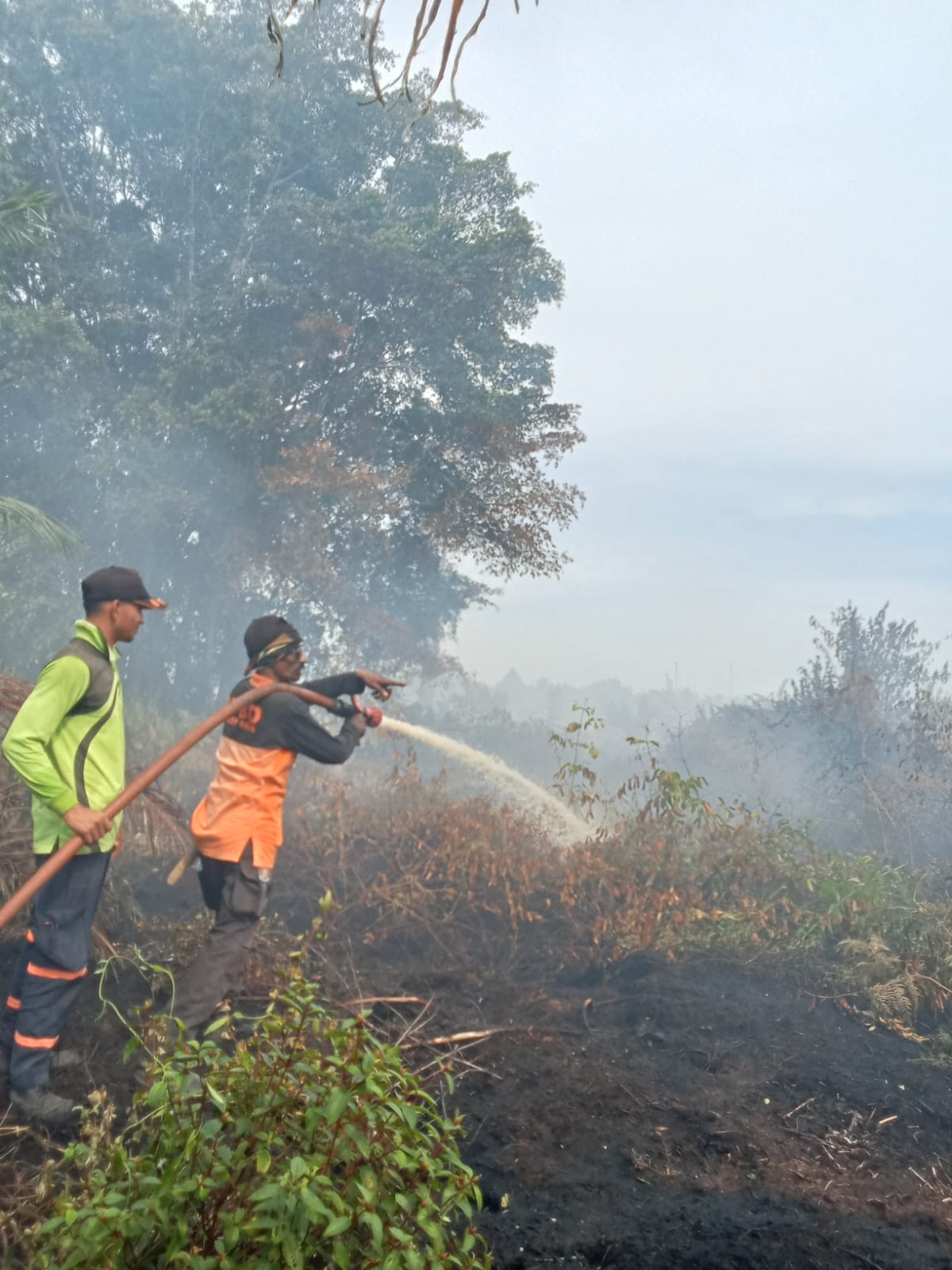 Petugas berupaya memdamkan api di lahan hutan Aceh. (BeritaNasional/BNPB)