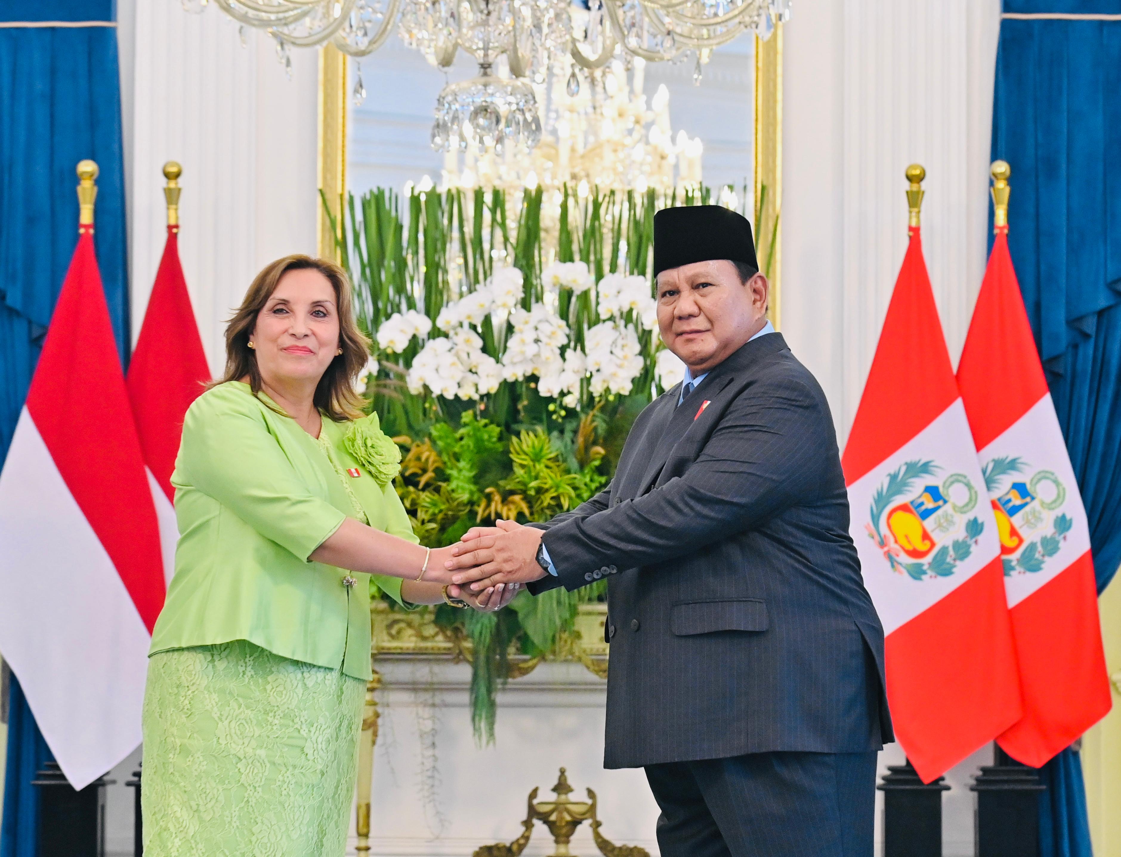 Presiden Prabowo Subianto bersalaman Presiden Peru Dina Ercilia Boluarte Zegarra di Istana Merdeka Jakarta. (BeritaNasional/Setpres)