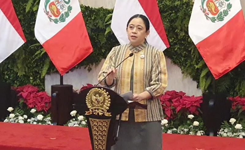 Ketua DPP PDI Perjuangan Puan Maharani (Beritanasional/Ahda)