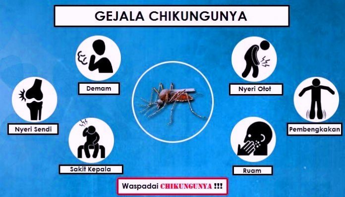 Gejala sakit chikungunya. (BeritaNasional/dok pemkot Kediri)