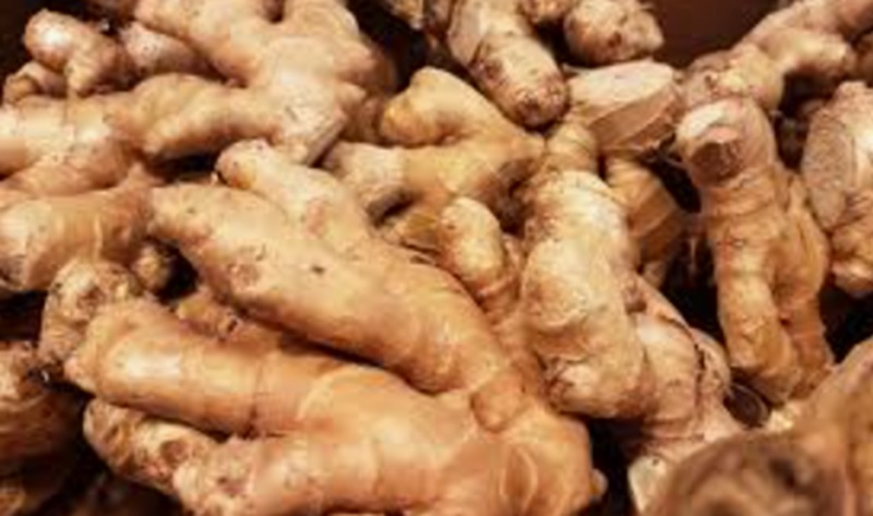 Jahe obat herbal (Foto/Pixabay)