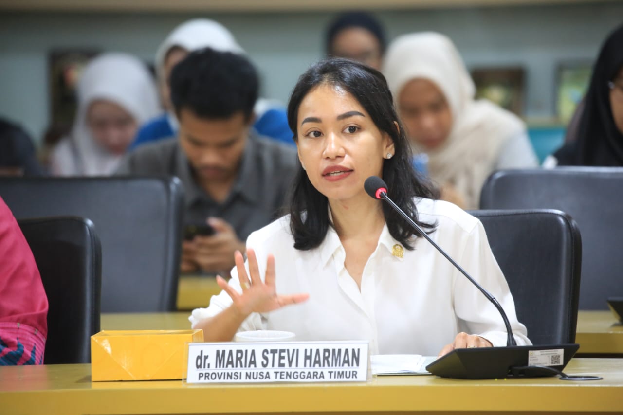 anggota DPD RI dari Dapil NTT Stevi Harman. (BeritaNasional/dok DPD)