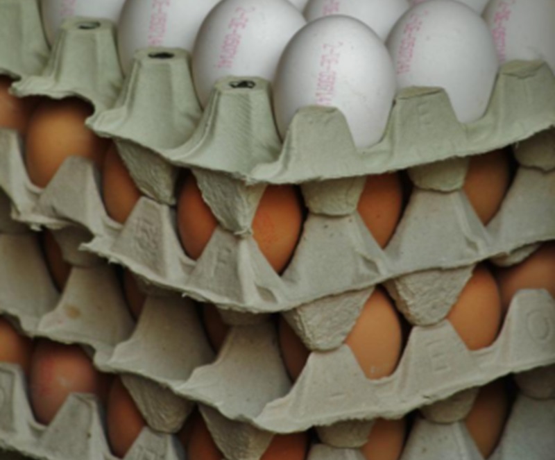 Indonesia Telah Penuhi Beras hingga Telur secara Mandiri Stok telur (Foto/Pixabay)