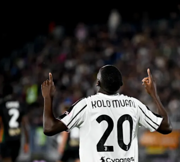 Kolo Muani Gabung Tottenham di Hari Terakhir Bursa Transfer Tottenham resmi pinjam randal Kolo Muani dari PSG. (Foto/Doc. Juventus)