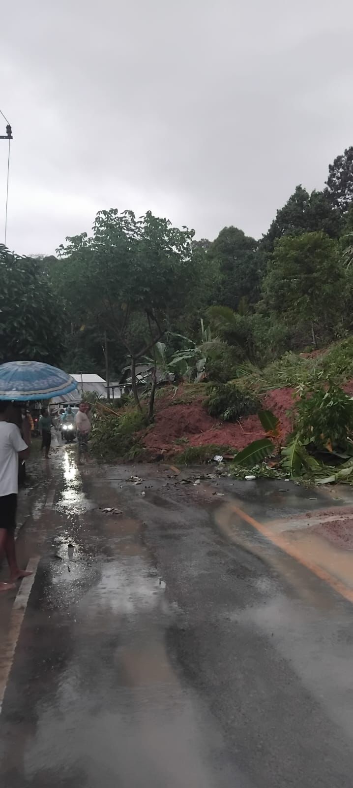 Banjir dan tanah longsor di Kabupaten Pesisir Lampung. (BeritaNasional/BNPB)