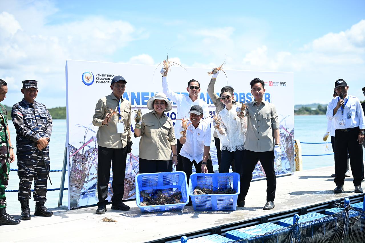 Wapres Gibran Rakabuming Raka (kanan) saat panen perdana  lobster di Batam. (Foto/Setwapres)