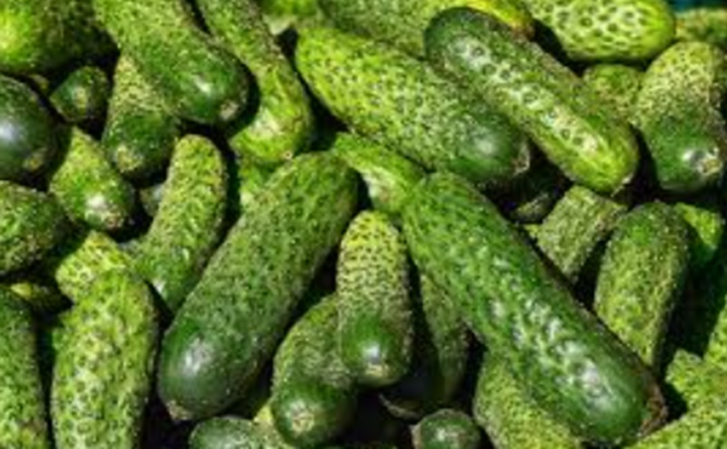 5 Manfaat Buah Timun bagi Kesehatan, Apa Saja? Buah timun bagi kesehatan (Foto/Pixabay)