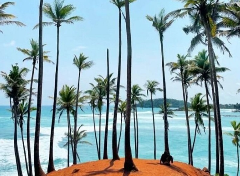 Salah satu destinasi wisata Sri Lanka (Foto/Trip Advisor)