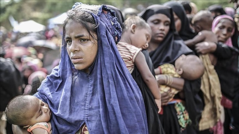 Kondisi pengungsi Rohingya (Foto/Anadolu)