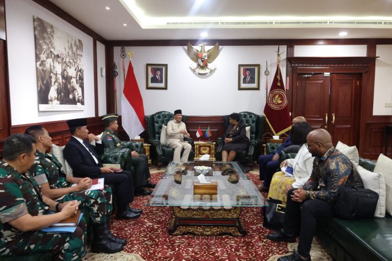Bertemu Menhan Motshekga, Menhan Sjafrie takjub dengan konsep Matra Kesehatan milik Afrika Selatan. (Foto/Kemhan RI)
