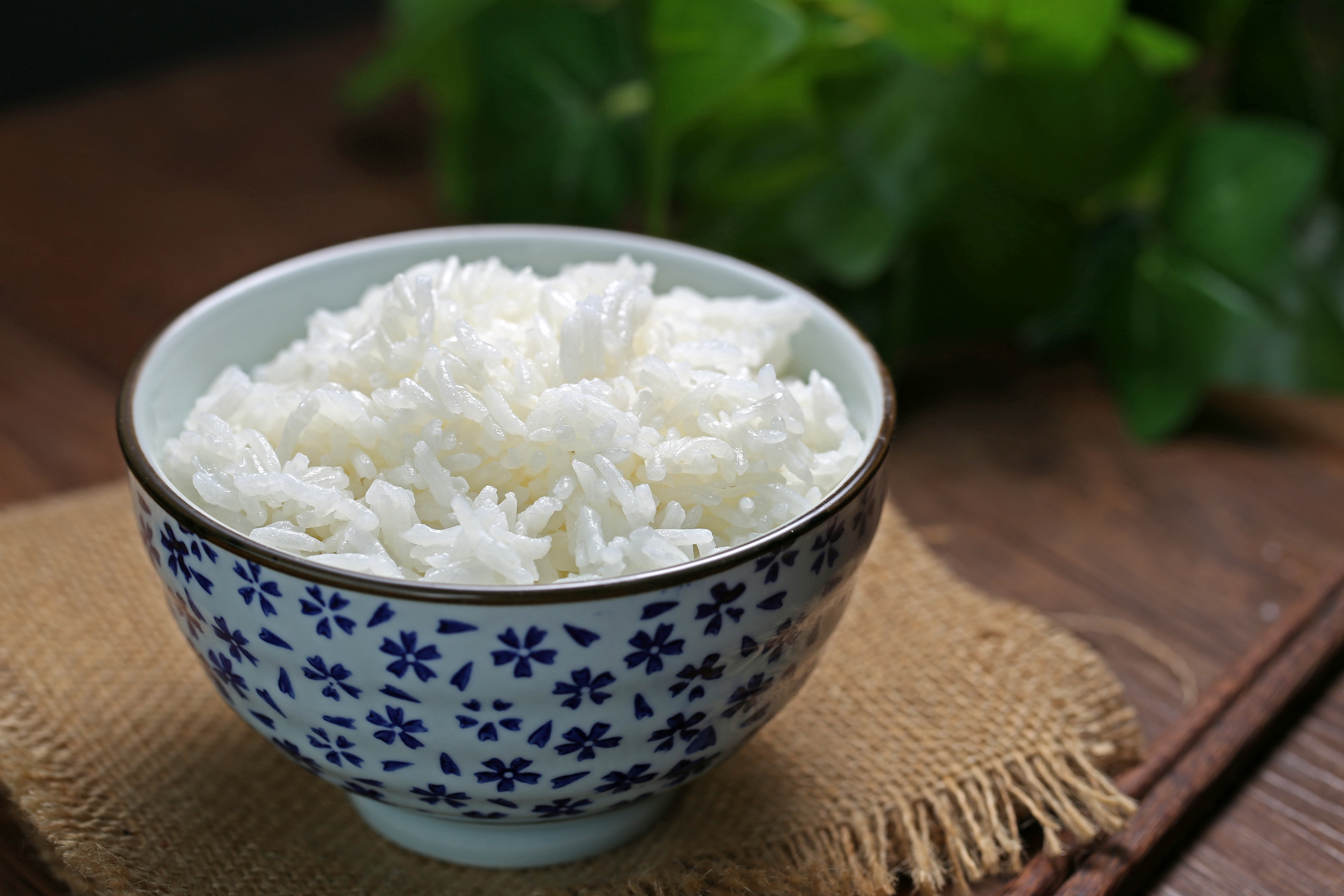 Ilustrasi Nasi Putih. (Foto/freepik)
