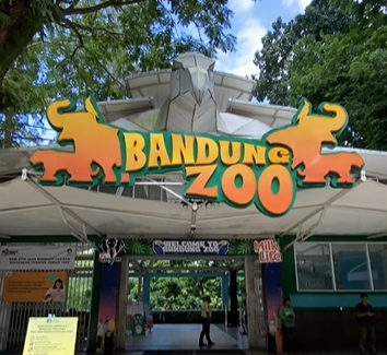 Pemkot buat larangan berkunjung ke Bandung Zoo, Wali Kota Farhan ungkap alasannya. (Foto/@bandung_zoo)