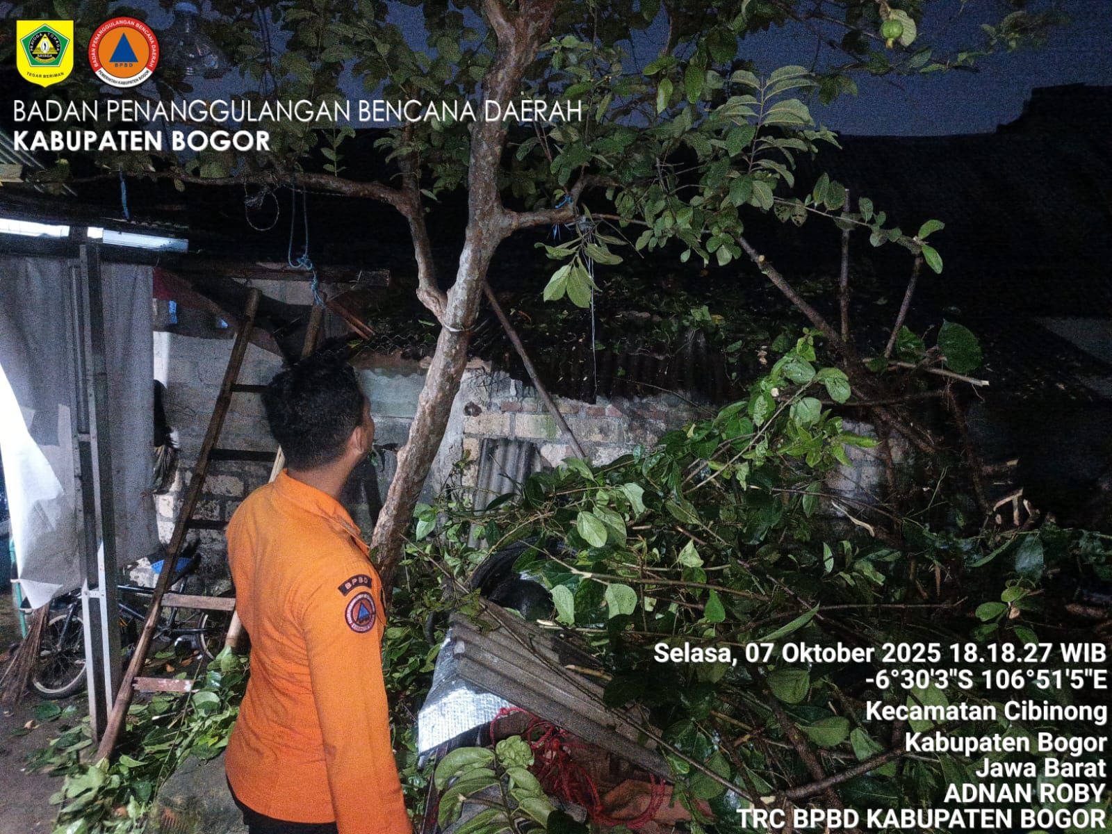 Tim  BNPD Bogor membersihkan pohon tumbang akibat angin kencang. (BeritaNasional/BNPB)