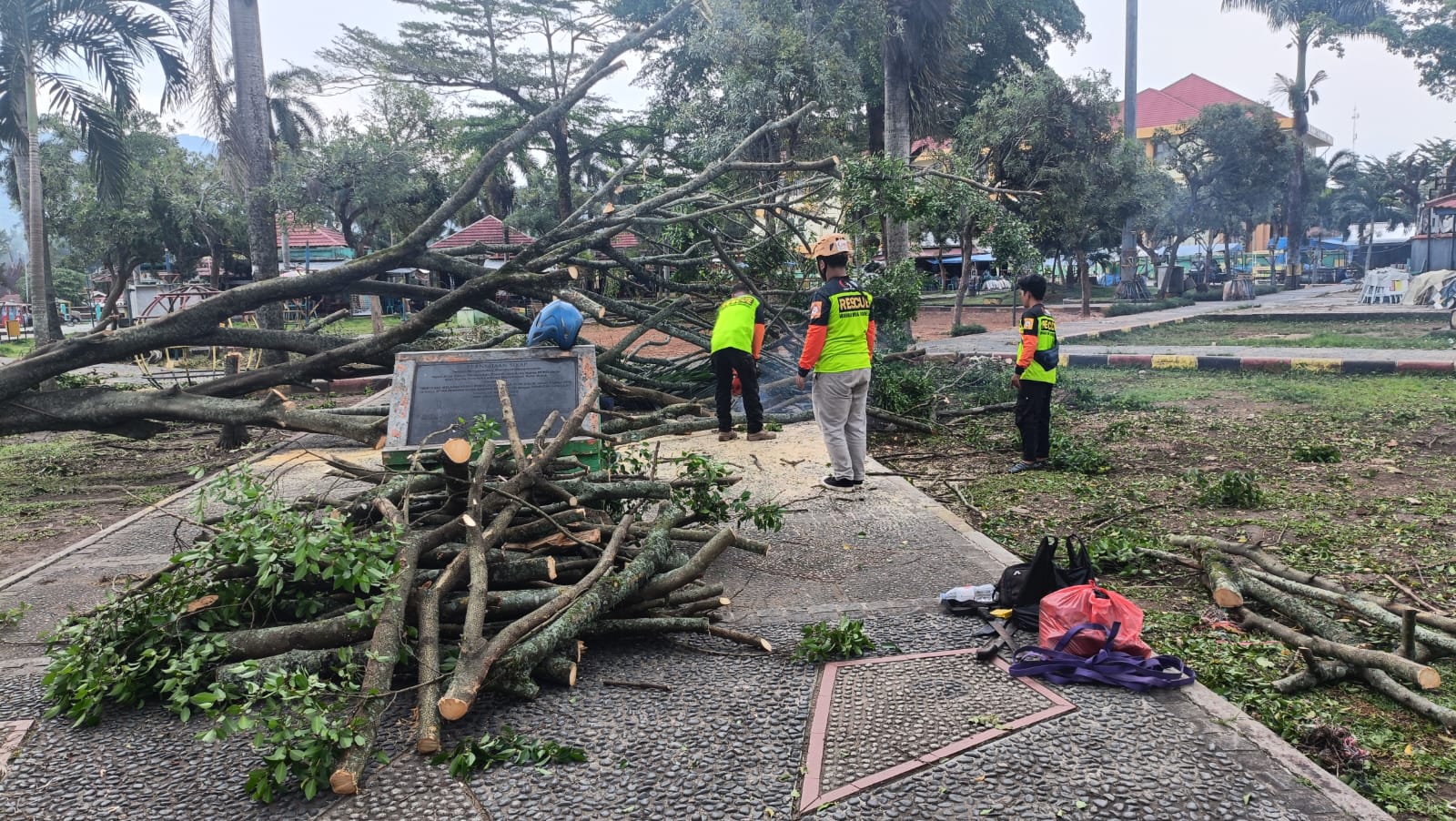 BPBD Kota Solok bersama petugas gabungan evakuasi pohon tumbang di Kota Solok Sumatera Barat. (BeritaNasional/BNPB)