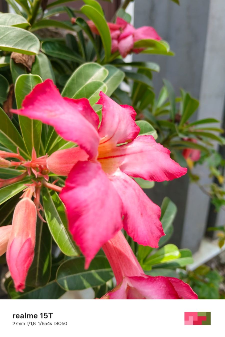 Review realme 15T 5G