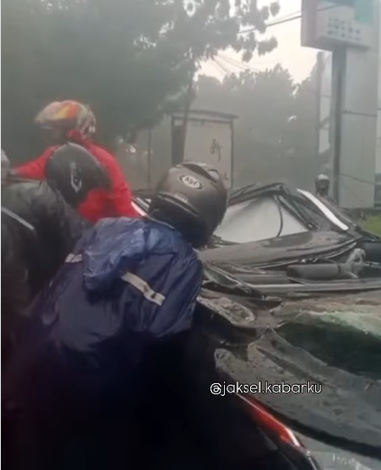 Warga tewas di Pondok Indah, Pramono instruksikan pangkas pohon rawan tumbang. (BeritaNasional/tangkapan layar)